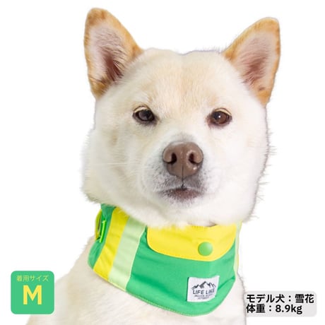 ビタミンカラーバンダナ S M L 保冷剤付き 首周り26〜46cm