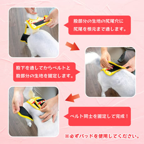 サニタリーベルトパンツ レースストロベリー 5号 腰周り38～43cm