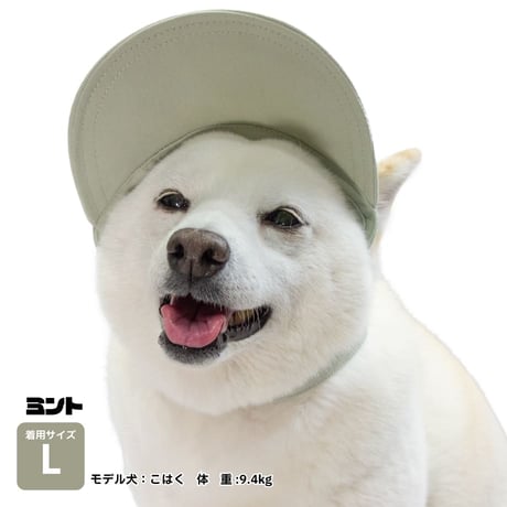 ツイルロゴキャップ M L XL 顔周り30〜56cm