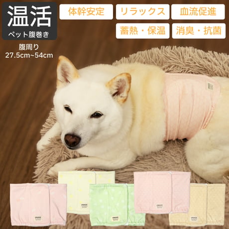 01和柄&わんこ国内手作りネックウォーマー柴犬マスタードと矢絣 許可なく