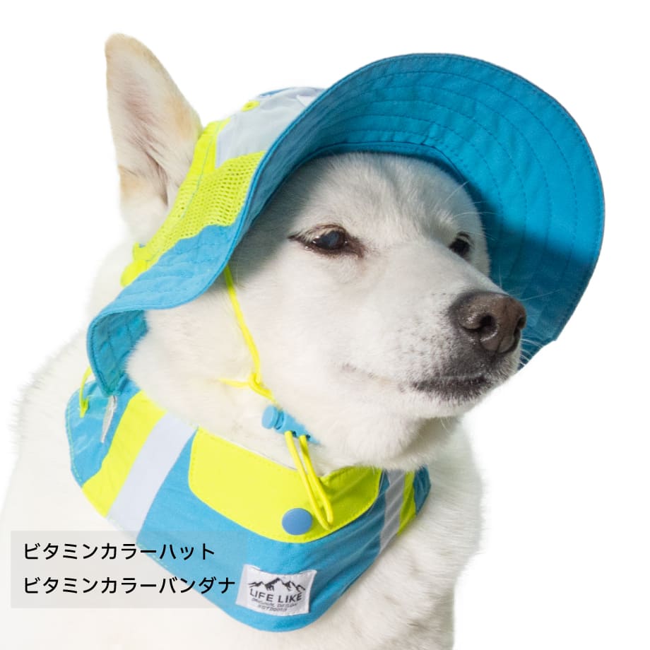 67f9cb42c82327f9334db6fa