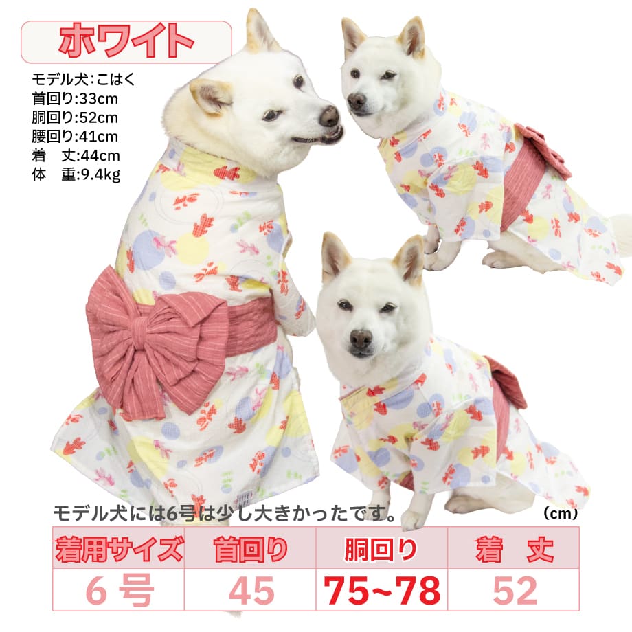 68131b8af30db232ae8042b8