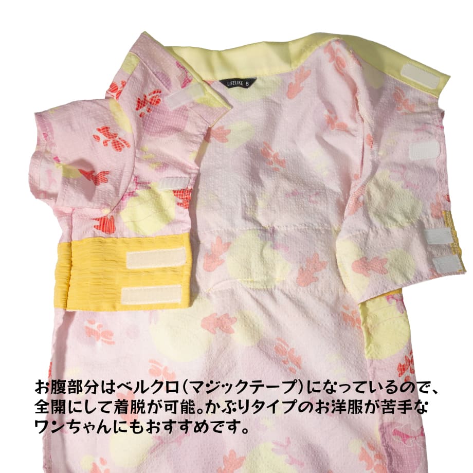 68131b8af30db232ae8042b8