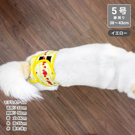 サニタリーベルトパンツ レースストロベリー 5号 腰周り38～43cm