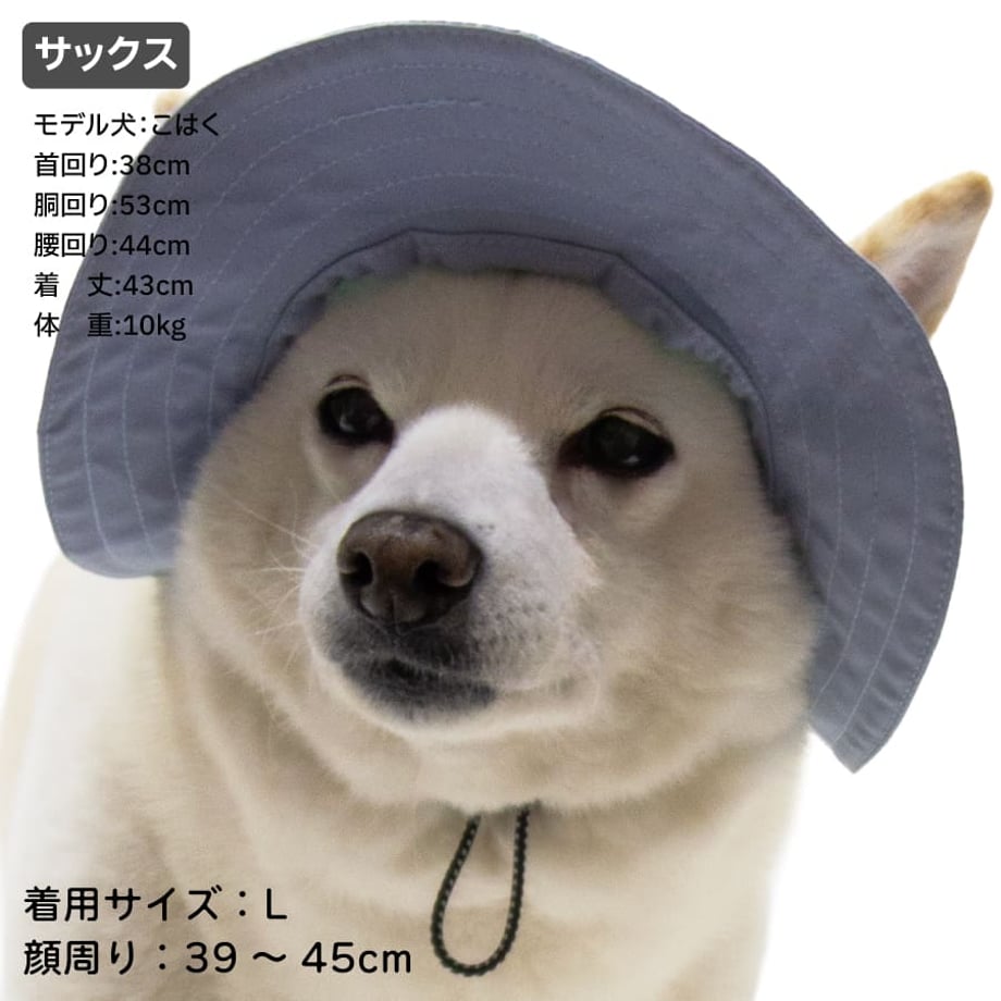 69cb2f5ec994305e182fdd8e