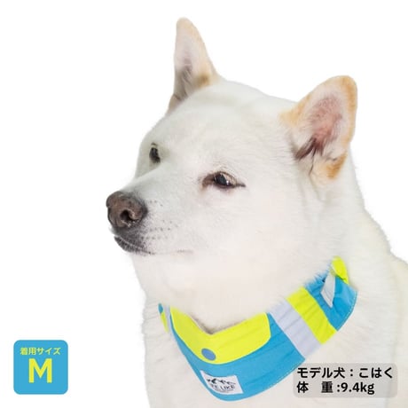 ビタミンカラーバンダナ S M L 保冷剤付き 首周り26〜46cm