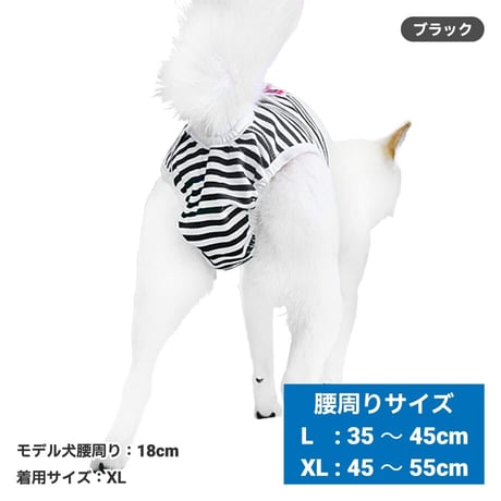 ボーダーマナーパンツ