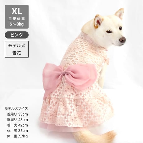 ウェディング風レースワンピ  8～10kg XL XXL【在庫限りで終売】