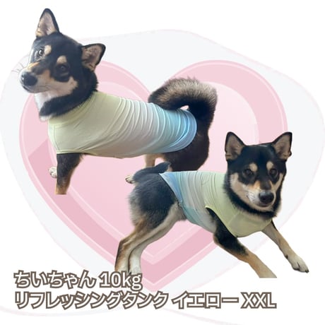 COOL+MOSCAPE リフレッシングタンク XXL 〜10kg 在庫限り