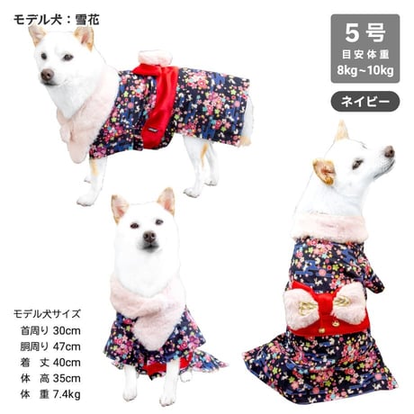 【送料無料】うさぎ晴れ着 8～10kg