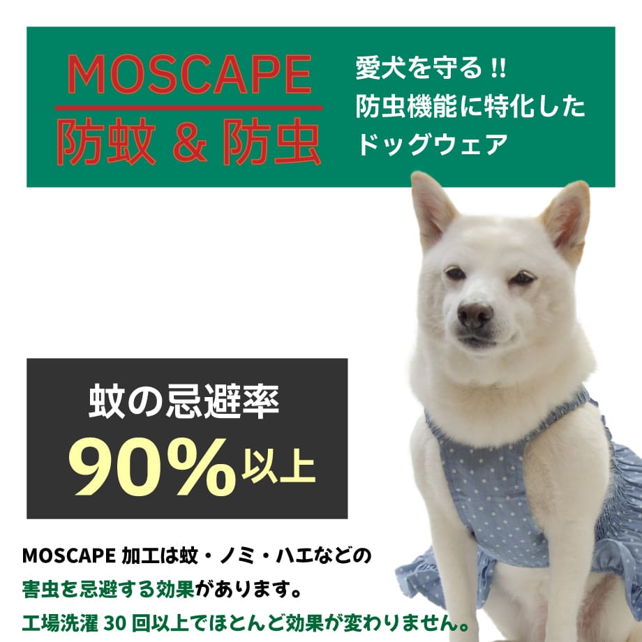 67be9967c99430003231bd3c