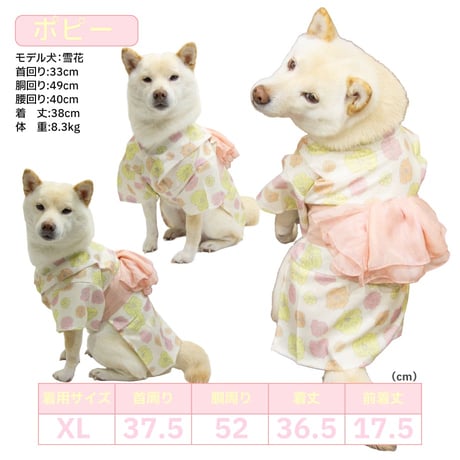 【送料無料】華やか大輪帯浴衣 6～10kg