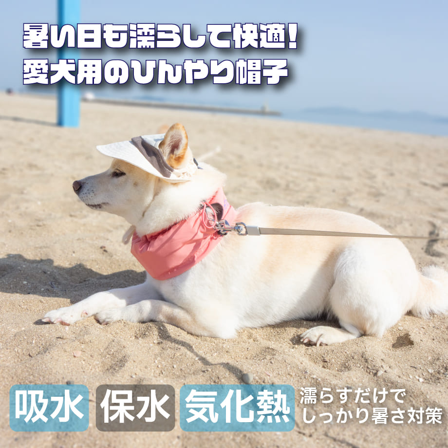 680ed1dae99ff9015b946926