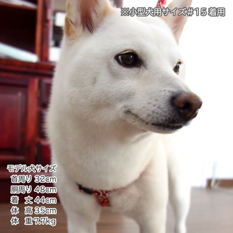コットン唐草ハーネス 小型犬・中型犬用 ～20kg