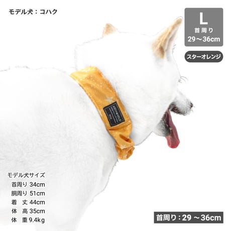 AQUA HOLD ひんやりシュシュ 首周り29～36cm 【在庫限り】