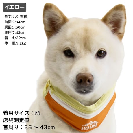 ICEマウンテンバンダナ S M L 26〜46cm