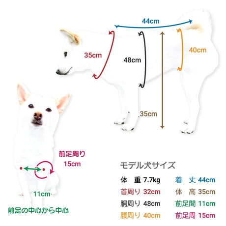 ハッピースタイ S M