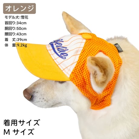 ベースボールキャップ
