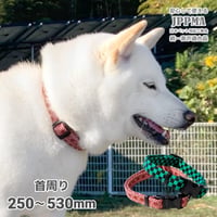 和柄カラー 小型犬・中型犬用  ～20kg