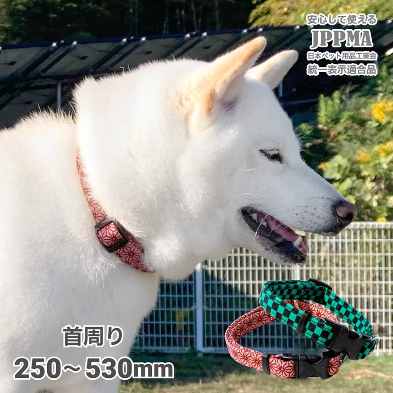 和柄カラー 小型犬・中型犬用 ～20kg | 柴犬の服屋さんONE歩