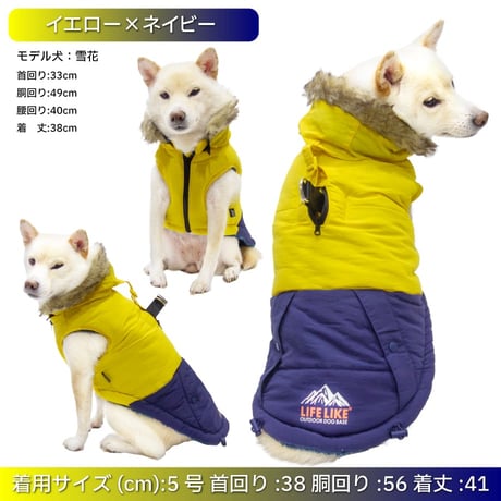 【送料無料】バイカラーハーネス 6号 8.5〜10kg 在庫限りで終売