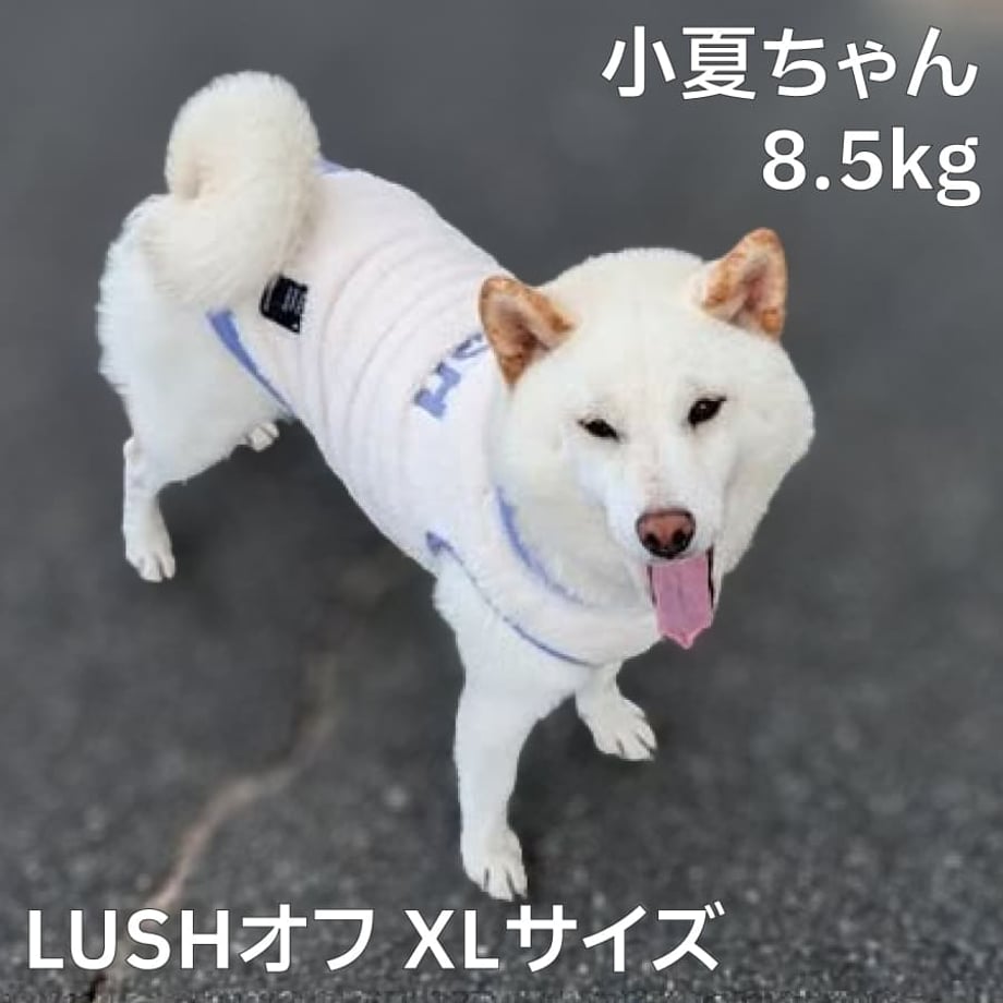 68d600cf7619fe272dcdcf1f
