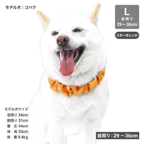 AQUA HOLD ひんやりシュシュ 首周り29～36cm 【在庫限り】