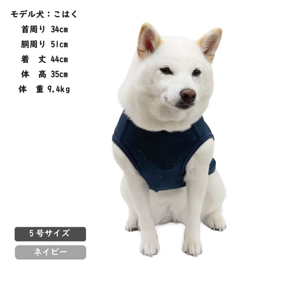 65f8db00b71e1505913c4a4c