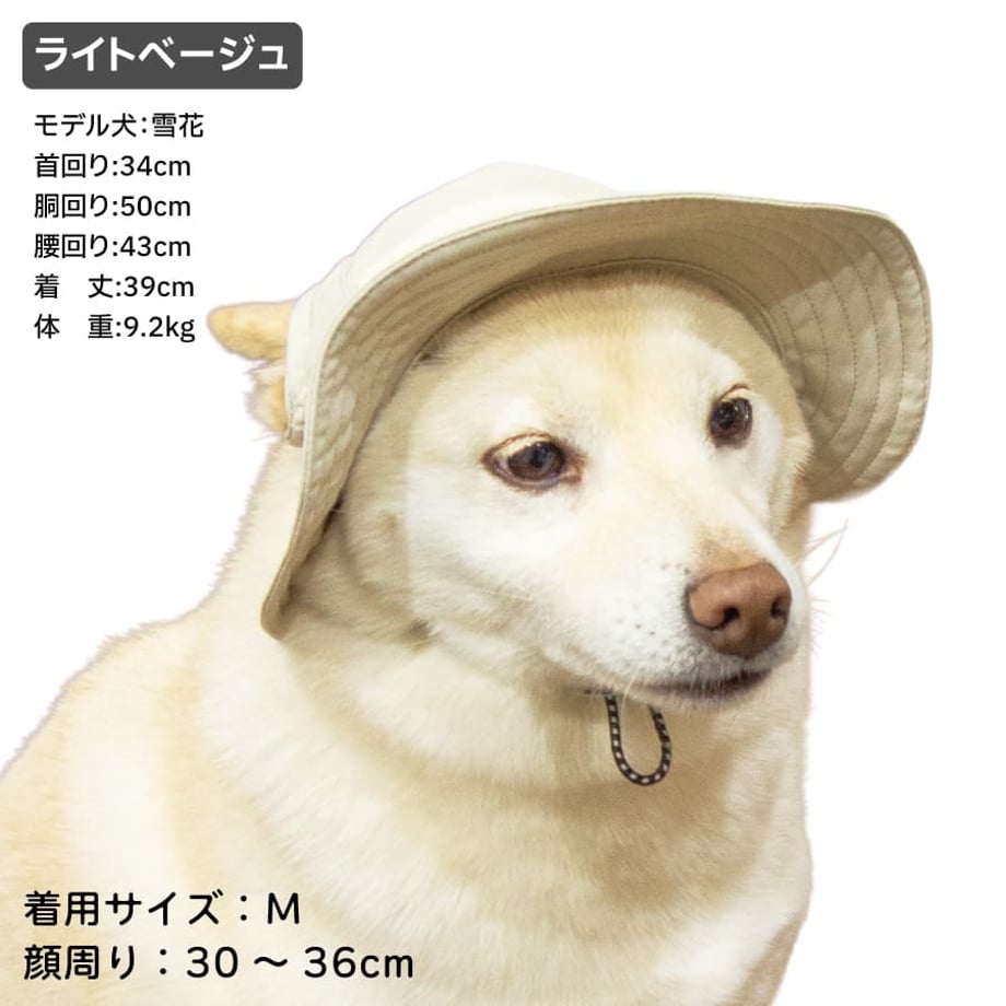 69c3891073db3d1a302eec1b