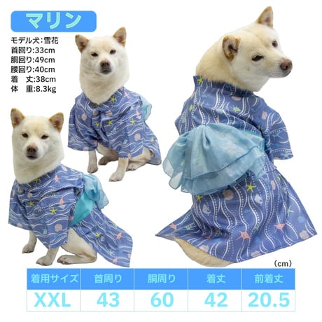 【送料無料】華やか大輪帯浴衣 6～10kg