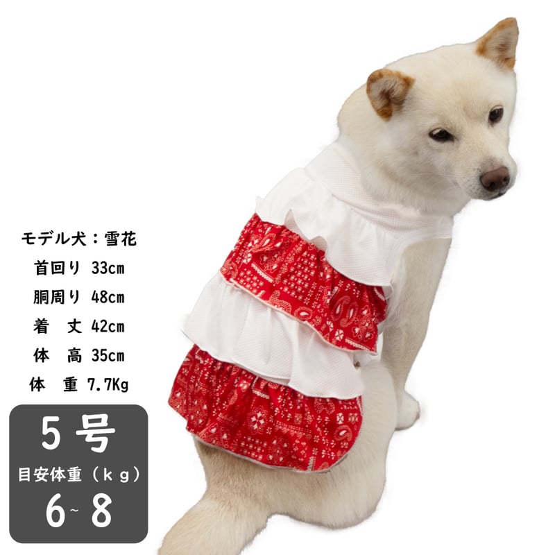 在庫限り】クール フリルワンピ 5・6号 6〜10kg【7号完売しました