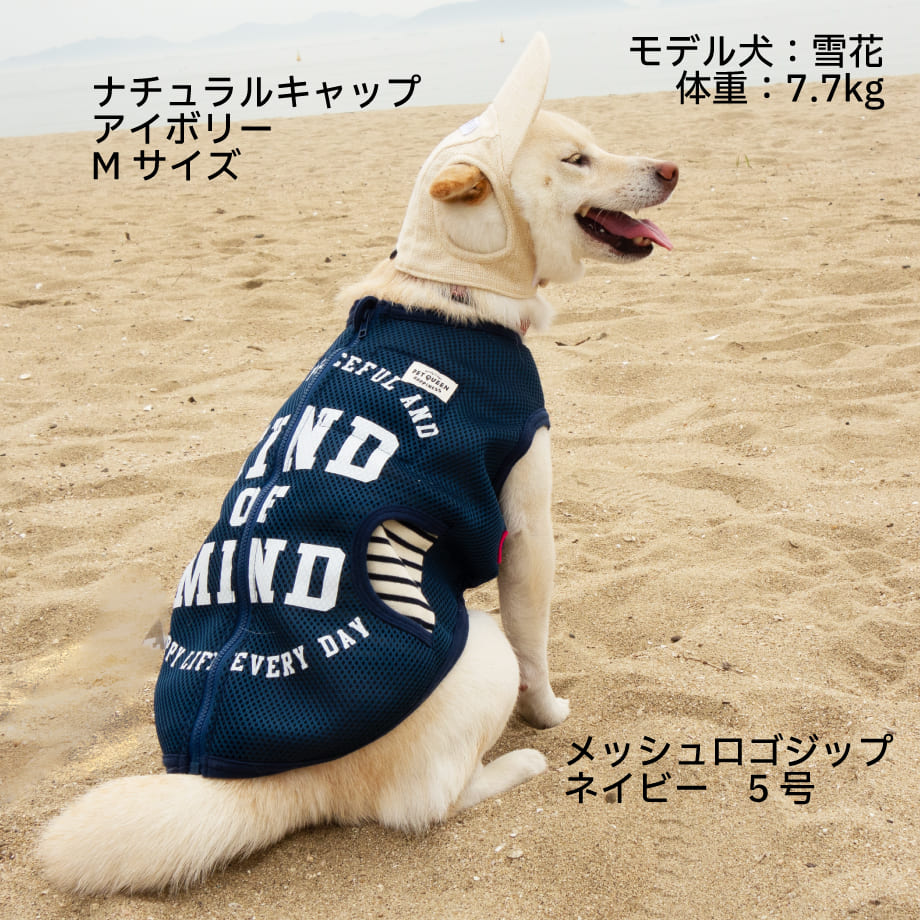 65f8db00b71e1505913c4a4c