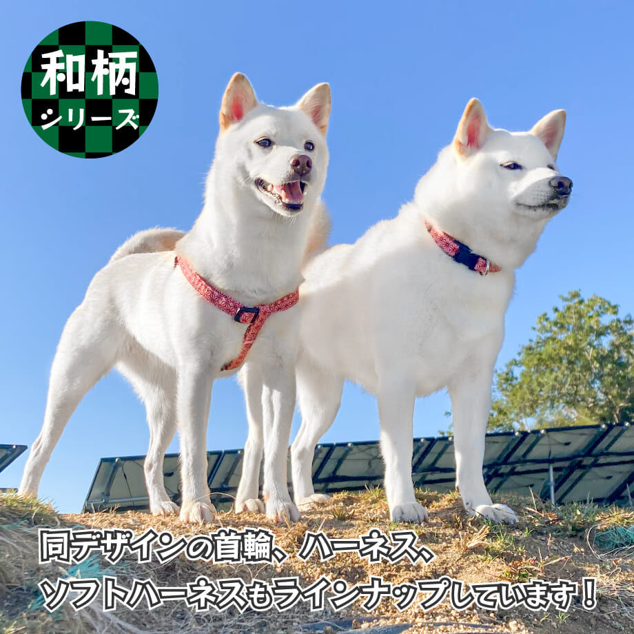 636a066e211ac313f1144990