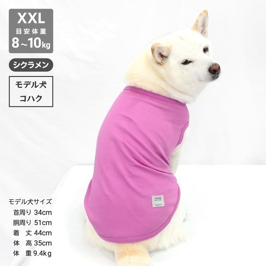 65b742a2e70d970a416b01cb