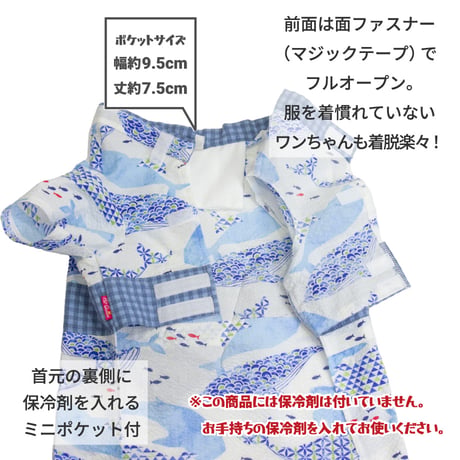 【送料無料】海のなかま甚平 ビー玉甚平 5号 6号 7〜11kg
