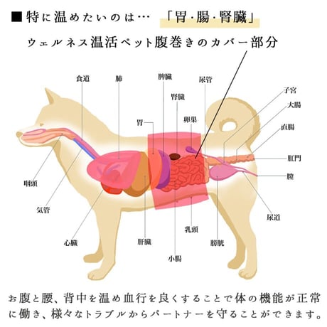 unage ウェルネス 体幹安定 温活 リラックス腹巻き 腹回り 27.5~54㎝