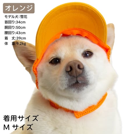 ベースボールキャップ