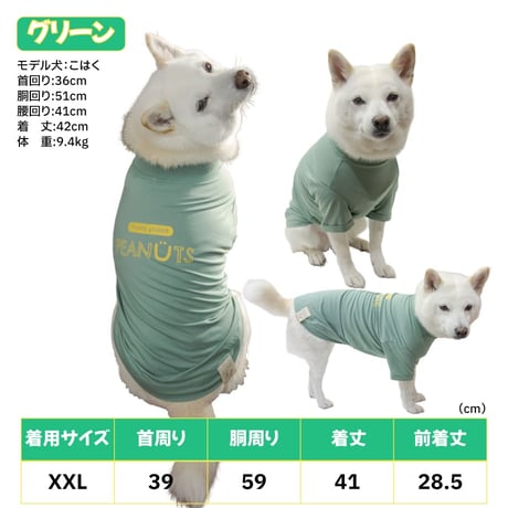 COOL+MOSCAPE ロゴプリントメッシュTシャツ XXL ～10kg 在庫限りで終売