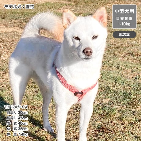 和柄ハーネス 小型犬・中型犬用  ～20kg
