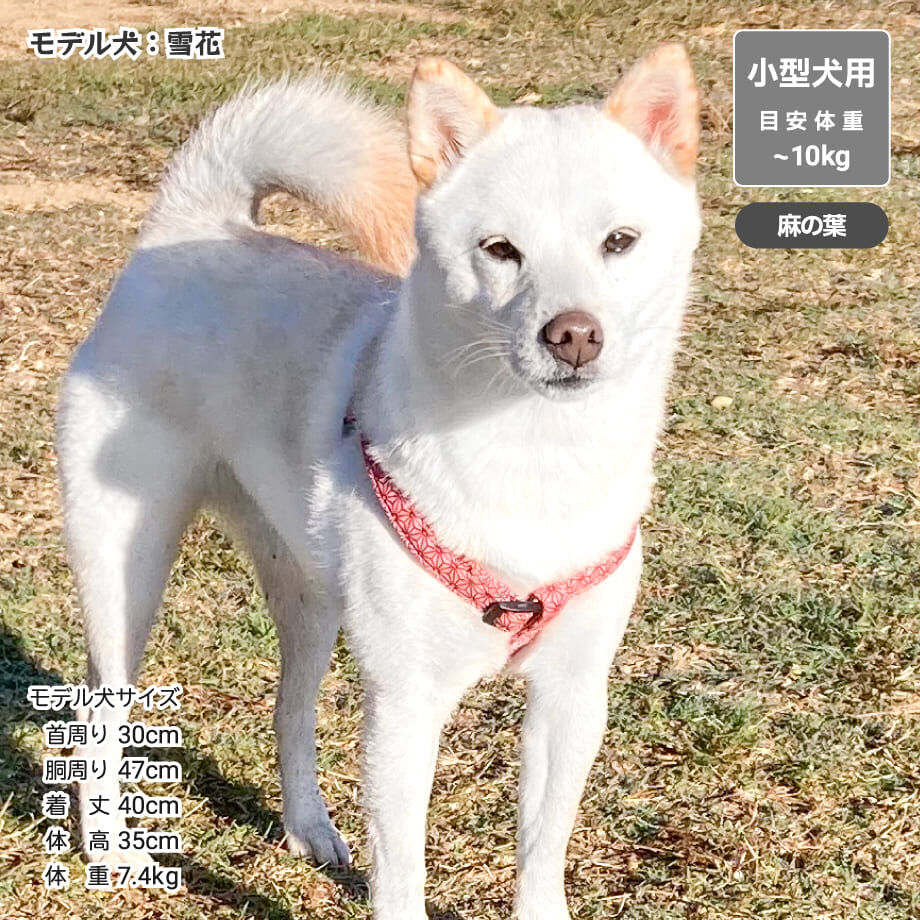 636a0a475988dc77945ca617