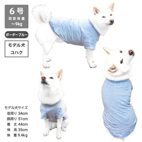 コットンTシャツ 5号・6号・7号  6.5kg～12kg