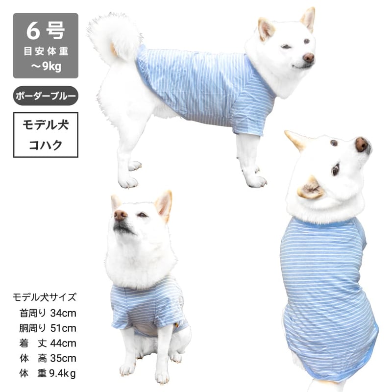 コットンTシャツ 5号・6号・7号 6 5kg 12kg