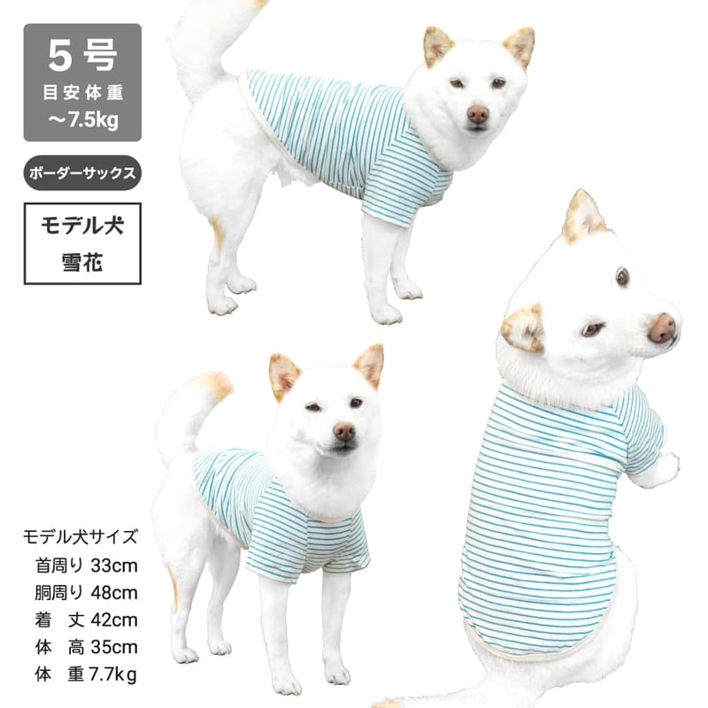 コットンTシャツ 5号・6号・7号 6.5kg～12kg | 柴犬の服屋さんONE歩
