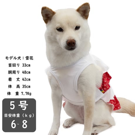 【在庫限り】クール フリルワンピ ５号 6〜8kg【6・7号完売しました】