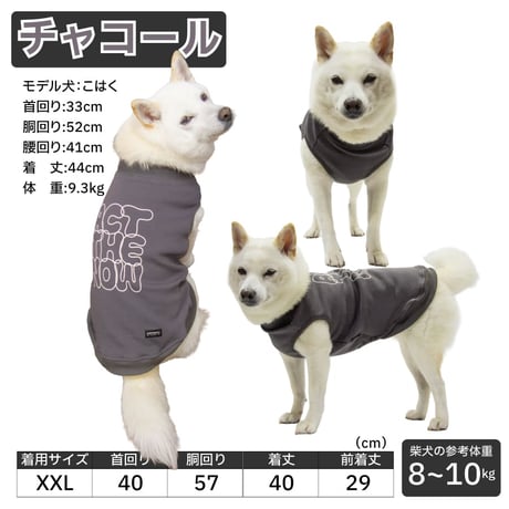 送料無料 裏起毛バックプリントタンク XXL 8～10kg
