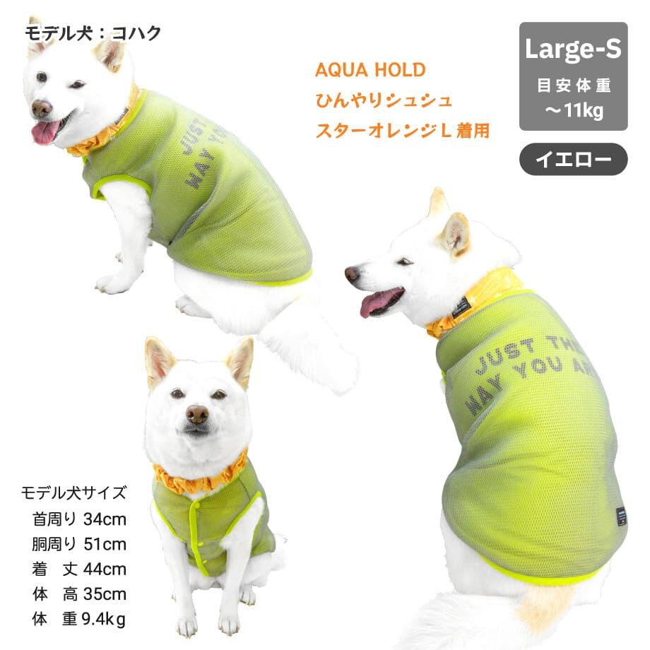 63f46cc8d1912346e59f35ef