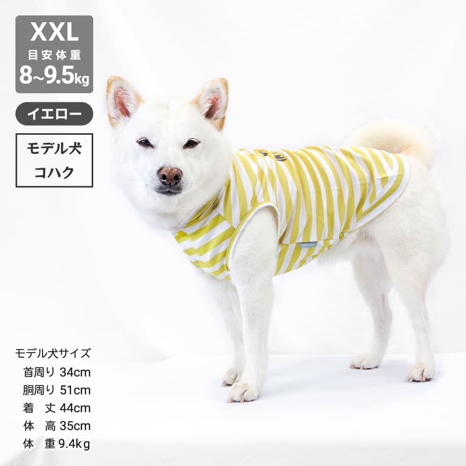 65d54103a625e8003dba837e