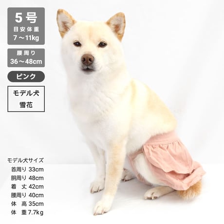 サニタリーフリルスカート 5号 腰周り36～48cm