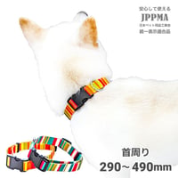 【訳あり商品】レインボーカラー 中型犬用 ～20kg