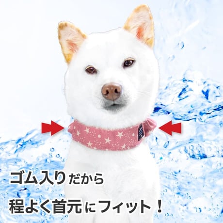 AQUA HOLD ひんやりシュシュ 首周り29～36cm 【在庫限り】